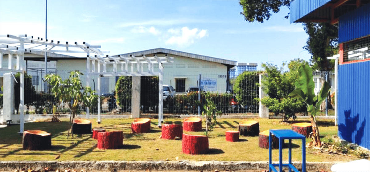 Therapeutic garden to help with staff's mental wellness